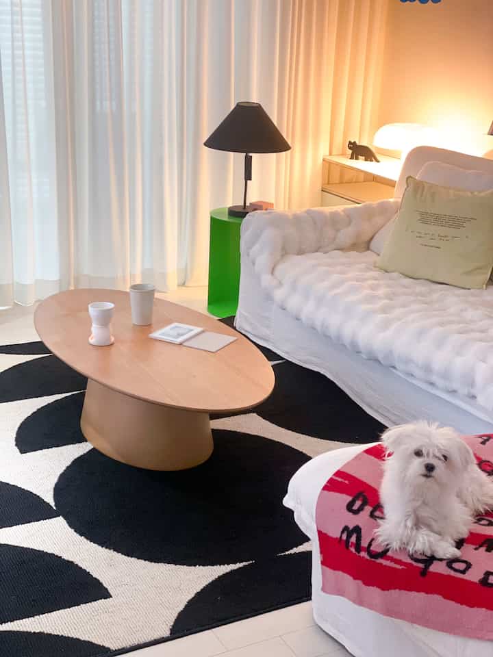 White and black toned living room featuring white sofa, wooden coffee table, black and white patterned rug, and a small dog on the sofa in a cozy setting