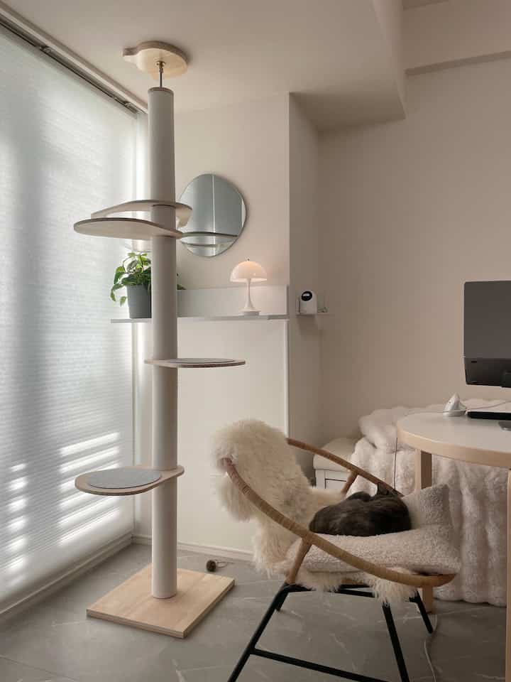 白とナチュラルカラーのモダンなリビング兼ホームオフィス、キャットタワーと猫がいる雰囲気のあるインテリア