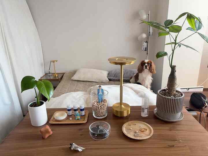 ナチュラルトーンのベッドルーム、木製テーブルと植物が配置され、ベッドに犬が座っている温かみのある空間