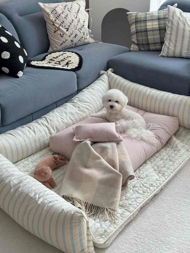 ナチュラルカラーとブルーのリビング、ふかふかのソファと大きなペットベッドで白い小型犬がくつろいでいる雰囲気のあるインテリア