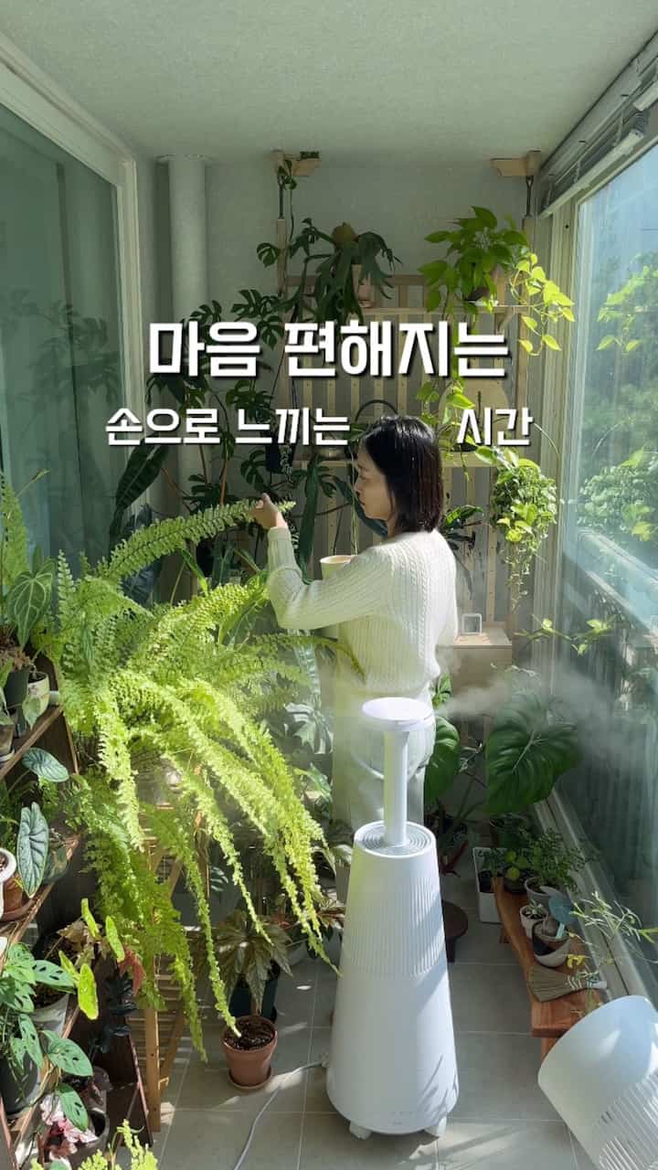  #식집사성장기 #식집사일상 #실내식물 #식물추천 #베란다정원 #가드닝 
