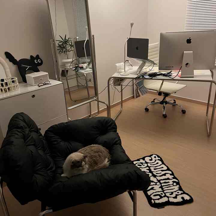 白と黒のトーンでまとめられたコンパクトなホームオフィス、ミッドセンチュリーモダンなラウンジチェアとメタルフレームのデスク、くつろぐ猫がいる雰囲気のあるインテリア