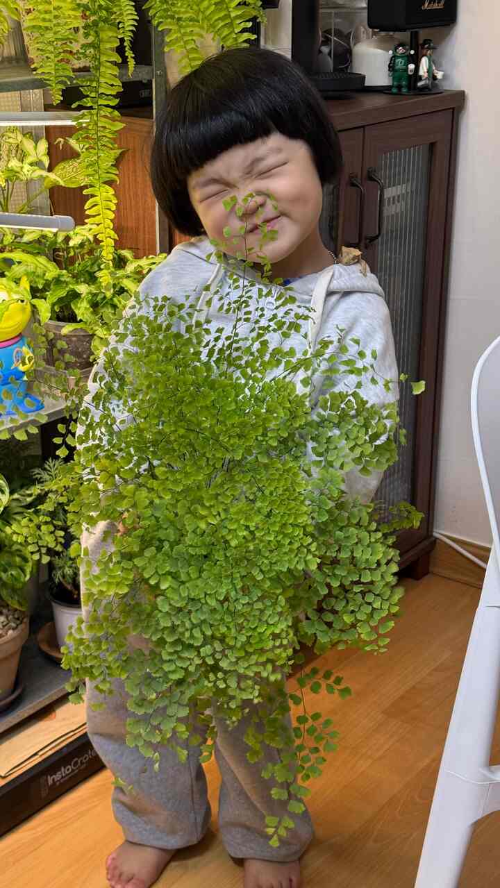 •📌最後までぜひ見てください！🫶
アディアントムが寝ているので写真を撮りたいです。
料理を調理してもヤングうまくいきません。
ちょっと聞いてくれたら突然歌を歌ってくれる方🤣

急いで動画に戻して撮っています。
最後までダミーを飾ってくれる個人を披露してくれますねｗｗ
すでに目を引くのを見せてくれますが、息子の心は皆アルジュ？
キルポが何個かｗｗ 左肩の上にゲコララも一緒にしました！

植物映像を撮ろうとするのに誰がメインなのかわかりませんね😅
私の家の末っ子と豊かに成長するアディアントムを見てください！


#植物 #植民地 #プランテリア #planterior #誰が主人公ですか
＃週末＃マグネット＃48ヶ月赤ちゃん＃アディアントム＃adiantum 
＃ftc8期の話＃ftc8期＃植民地成長
＃自宅で最も忙しい＃植民地時代＃コンスープ記録
＃今日の家＃今日のガーデン＃今日のガーデンチャレンジ
＃今日の私たちの家＃今日の私たちの家チャレンジ


•