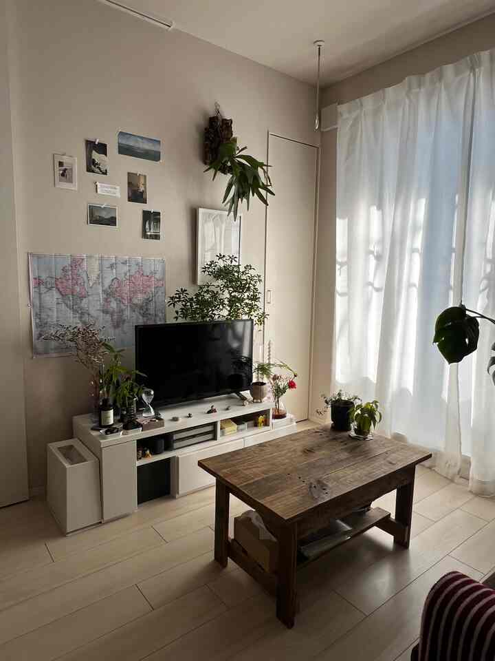 White and wood tone living room featuring a rustic coffee table, TV stand, and various plants with a natural and cozy atmosphere