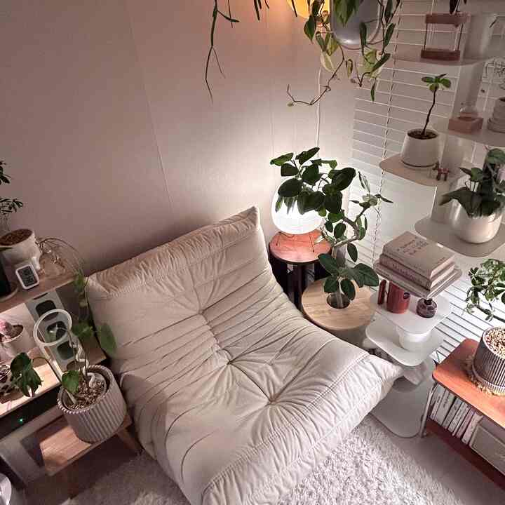 くつろぎ空間🌿🛋️

#ブックタワー #リーンロゼ #ソファ