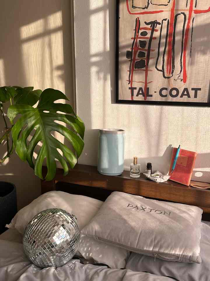 Kotak cabai biru muda itu dari Daiso 🗑️
Desain pada kalengnya sangat playful🥫
Aku senang karena aku tidak bisa melihat apa yang ada di dalam

#KamarTidur #ゴミ箱 #チリ箱