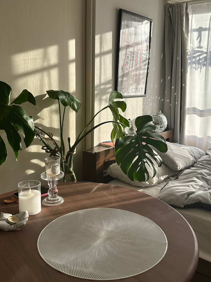 お部屋に光が少しずつ入らなくなってきた🥲
でも、春になるのが待ち遠しい

季節の変わり目を感じます🌸
#狭い部屋　#モンステラ　#5畳
#モダンインテリア　#ミッドセンチュリー