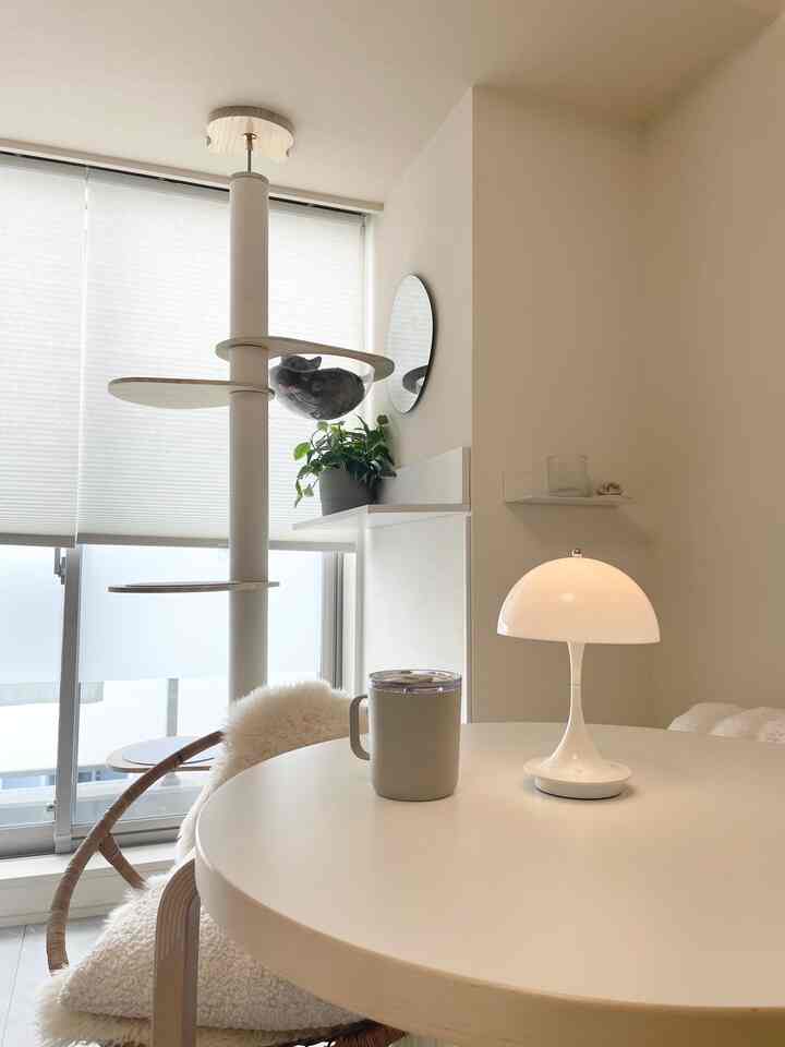 アイボリーと木目調の調和が取れたリビング空間、キャットタワーと丸い白いテーブルに間接照明が灯る落ち着いた雰囲気のインテリア