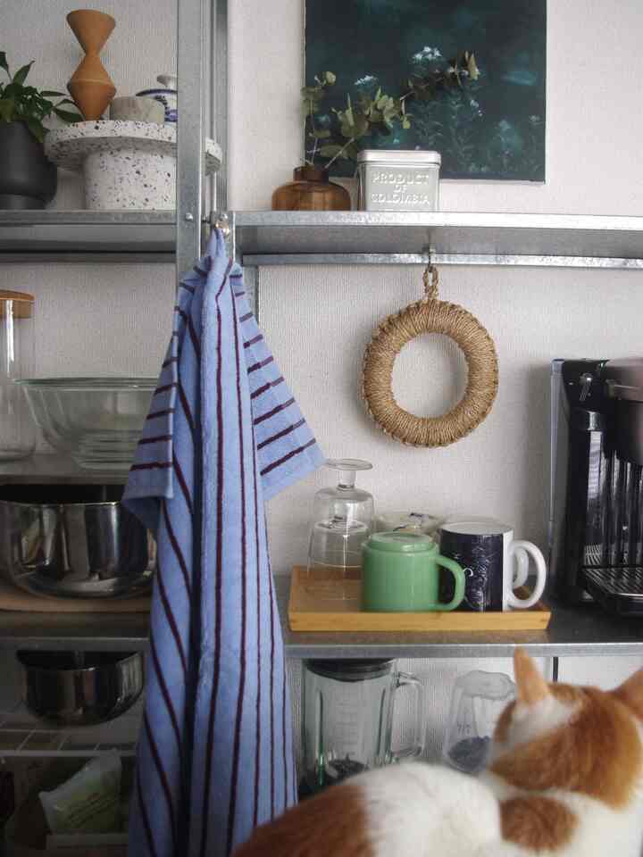 ナチュラルな色調の壁とメタルシェルフがあるキッチンスペース、キッチンタオルやカップ、猫が配置された雰囲気のあるインテリア