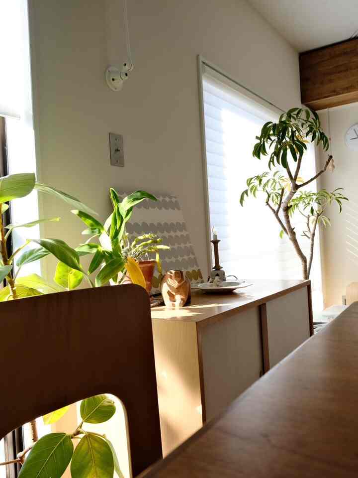 陽の光があったかい。
調光ロールスクリーン、柔らかい光です。
はやくも花粉が辛くなってきました🤧

# カーテン #ロールスクリーン
#リビングインテリア #アルテック 