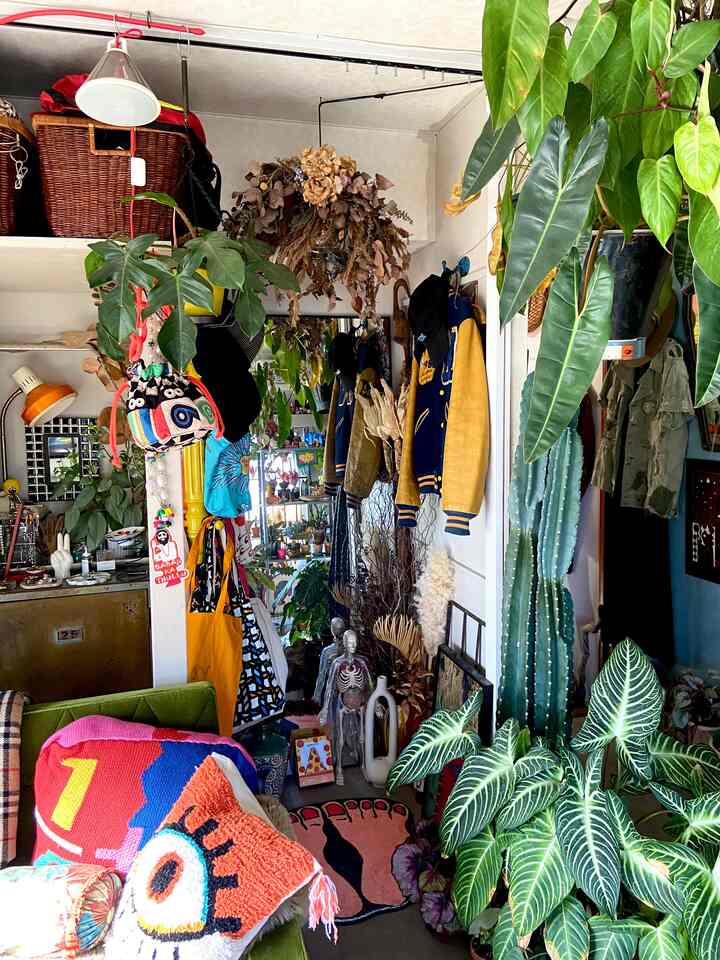 A space for a full-length mirror. A picture of the desire to have a little more space and the things that are overflowing without being noticed.
#Midcentury #ヴィンテージ #昭和レトロ
#Houseplants #グリーンインテリア #多国籍インテリア
#Full-length mirror #クローゼット