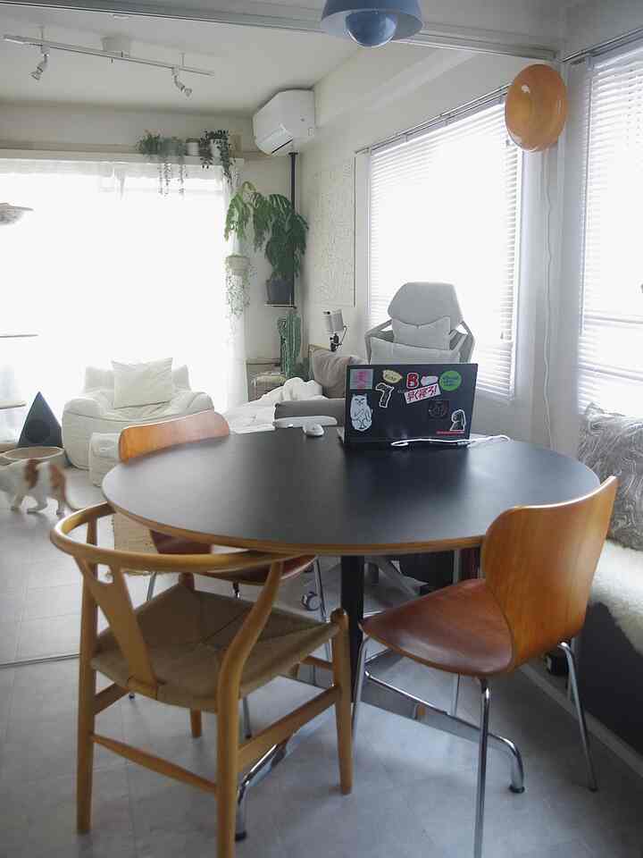 明るい白とナチュラルブラウンのトーンが特徴の1LDKダイニングルーム、丸いダイニングテーブルと複数の椅子、猫がいる温かみのある空間