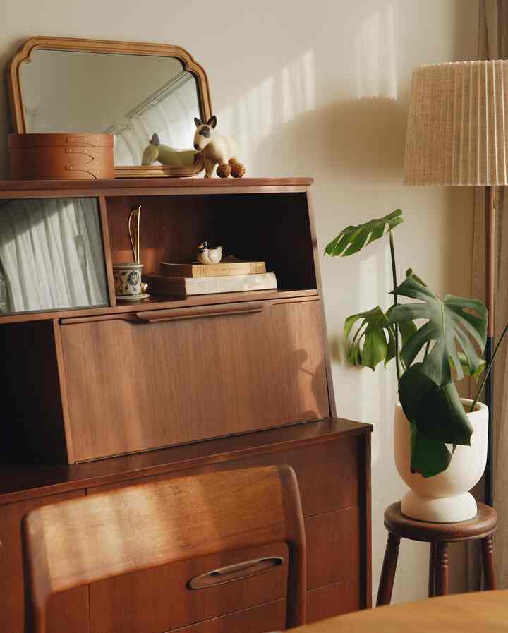 ブラウンとナチュラルカラーのダイニングルーム、ヴィンテージのサイドボードとモンステラの植物が配置された雰囲気のある空間