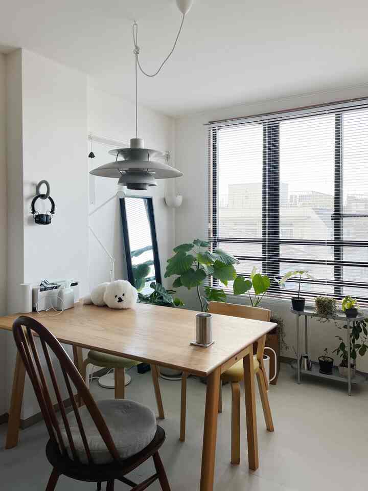 白い壁と木目調のダイニングテーブルが特徴の一人暮らし用ダイニングルーム、植物とペンダントライトが印象的なモダンな空間