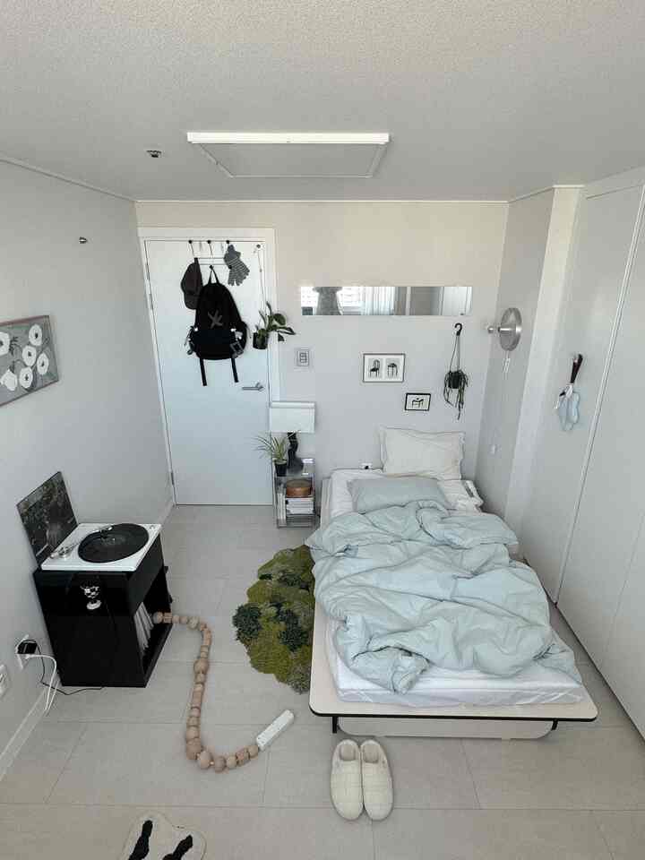 ホワイトとグリーンのトーンのワンルーム寝室、中央にシングルベッド、モスラグ、ナイトスタンド、壁照明が配置された自然を感じるインテリア