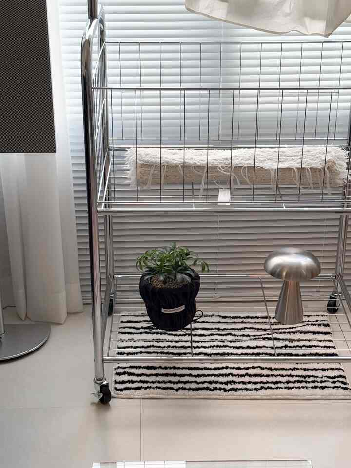 シルバーのメタル収納ラックと植物がある明るくモダンな空間、すっきりとしたミニマルな雰囲気