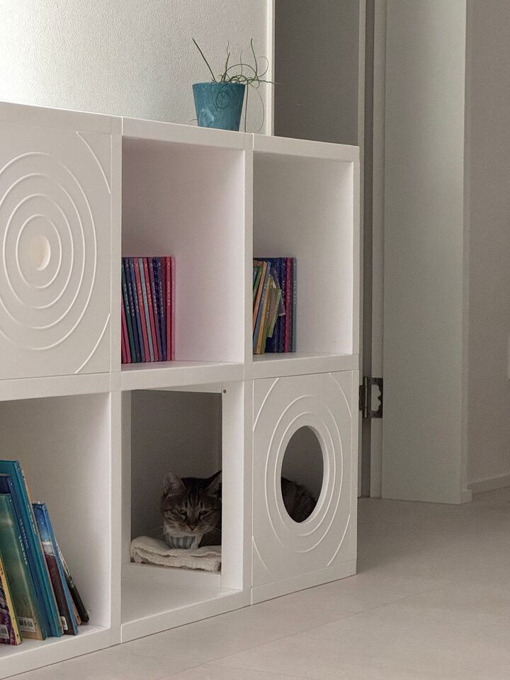 short form carousel card thumbnail