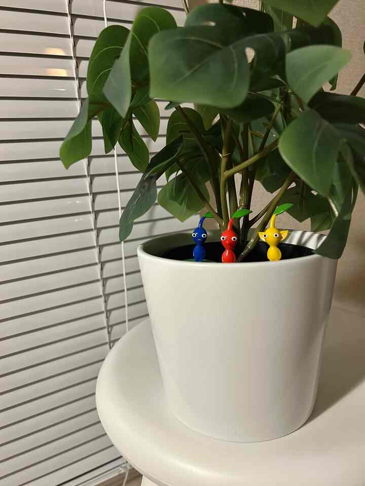 我が家のピクミン達の隠れ家🌱
#ピクミン