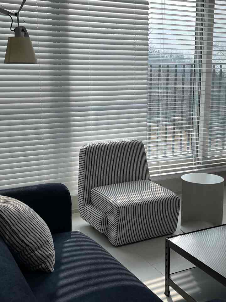 A modern living room with white walls and blinds in the background, featuring a navy Moss Carpet sofa and striped armchair with a clean aesthetic