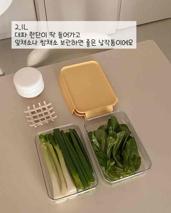 ベージュのダイニングテーブルの上に透明な保存容器が置かれ、青ネギと葉野菜が整然と収納された自然な雰囲気のキッチン