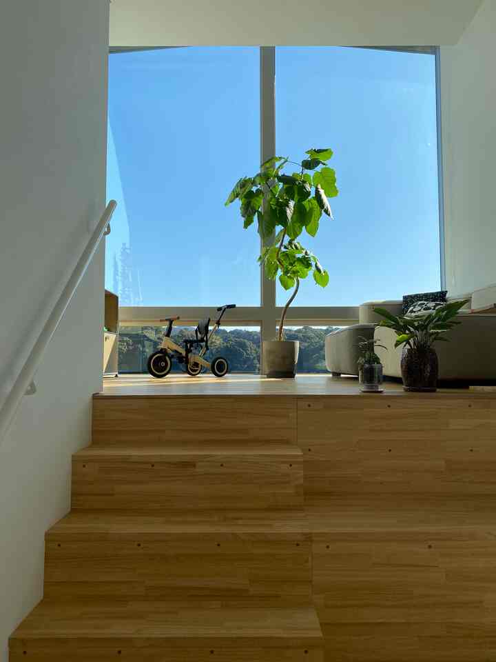 子供が乗り物に興味があるみたいなので三輪車をプレゼントしました🎁最近の三輪車は色々カスタムできて便利なのですね😳

#三輪車
#living
#interior
#usm
#vitra