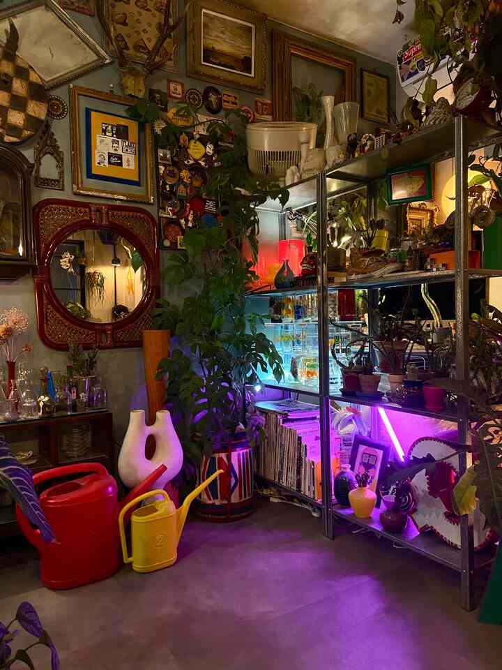 ネオンの要素を増やして遊んだりしている最近の夜です◎
#ミッドセンチュリー #昭和レトロ #ヴィンテージ
#観葉植物 #グリーンインテリア #多国籍インテリア
#IKEA #ヒュッリス #HAY #neontube