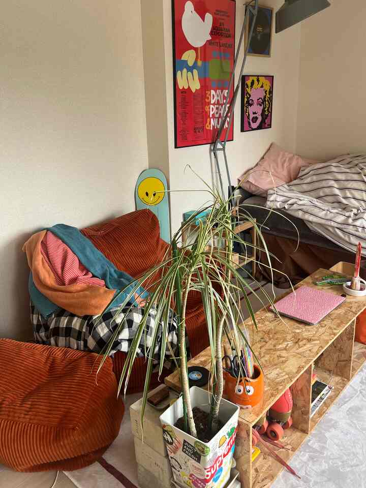 ブラウンとホワイトのトーンが特徴のコンパクトなワンルーム、オレンジのソファとベッド、大きな額縁や植物が配置されたシンプルな空間