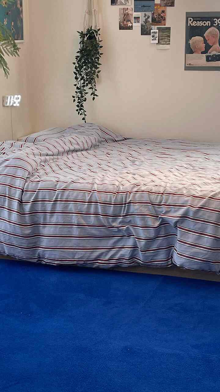 新しく購入したラグがかわいすぎる…パキッとブルーで部屋が海外っぽくなった★🐈‍⬛
#ラグ・カーペット  #ラグ・マット #ラグインテリア #ベッドインテリア 
