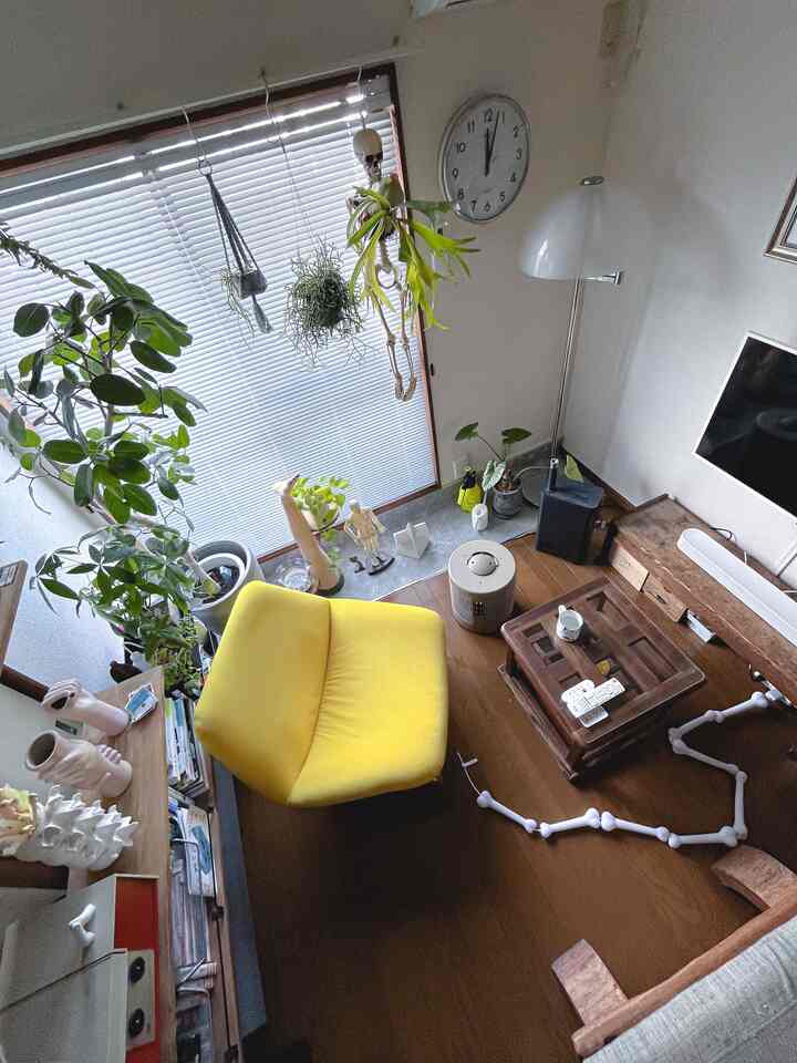 #一人暮らし #猫がいる暮らし #2DK #植物のある生活 #古物 #和家具 #アート