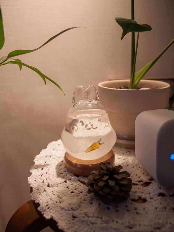 じゃがいもが香港で買ってくれたウサギ🐰
ウォーターボールだと思って買ったけど、ストームグラスでした！ 😆

旅行中に私の好きなウサギを探していた心
ありがとうございました。

＃ウサギオブジェ＃ストームグラス＃予備カップル
＃家の装飾＃ガラス小道具＃ウサギグッズ＃インテリア小道具
＃コンスプ記録

#RabbitObject #StormGlass #HomeDecor 
#GlassDecor #RabbitGoods #InteriorAccessories