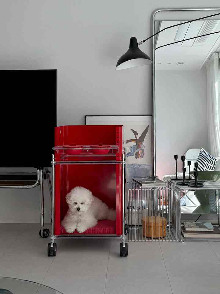 Modern living room in white and red tones featuring a red pet bed for a dog and sleek furniture arrangement