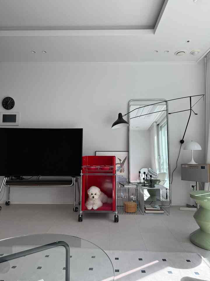 White-toned living room featuring a red pet house with a dog and modern furniture in a clean space