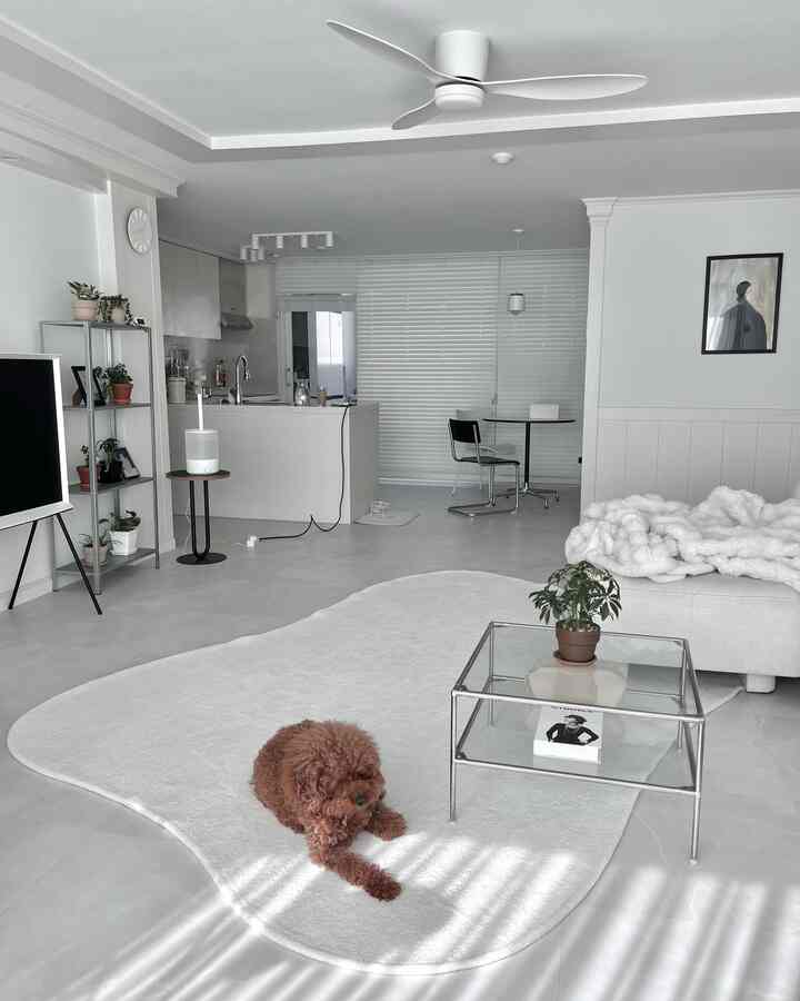 Ketika gumpalan tersebut diletakkan di atas karpet, secara ajaib akan muncul sebagai karpet mini🪄
(Karpetnya berukuran 200x300..)
Tuan Mungi, kamu imut banget🖤



#RumahKitaHariIni #콘수프기록 #거실인테리어 #거실스타일링 #거실꾸미기 #화이트거실 #화이트인테리어 #주방인테리어 #주방꾸미기 #주방스타일링 #반려견과함께사는집 #비정형러그 #대형러그 #거실테이블 #모듈테이블 #유리테이블 #초보식집사 #오늘장면한컷 #집순이 #집에서제일바빠오늘우리집 #맞팔해요 #맞팔