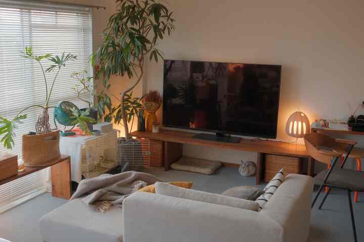 Natural-toned living room featuring DIY TV board and plants creating a cozy atmosphere