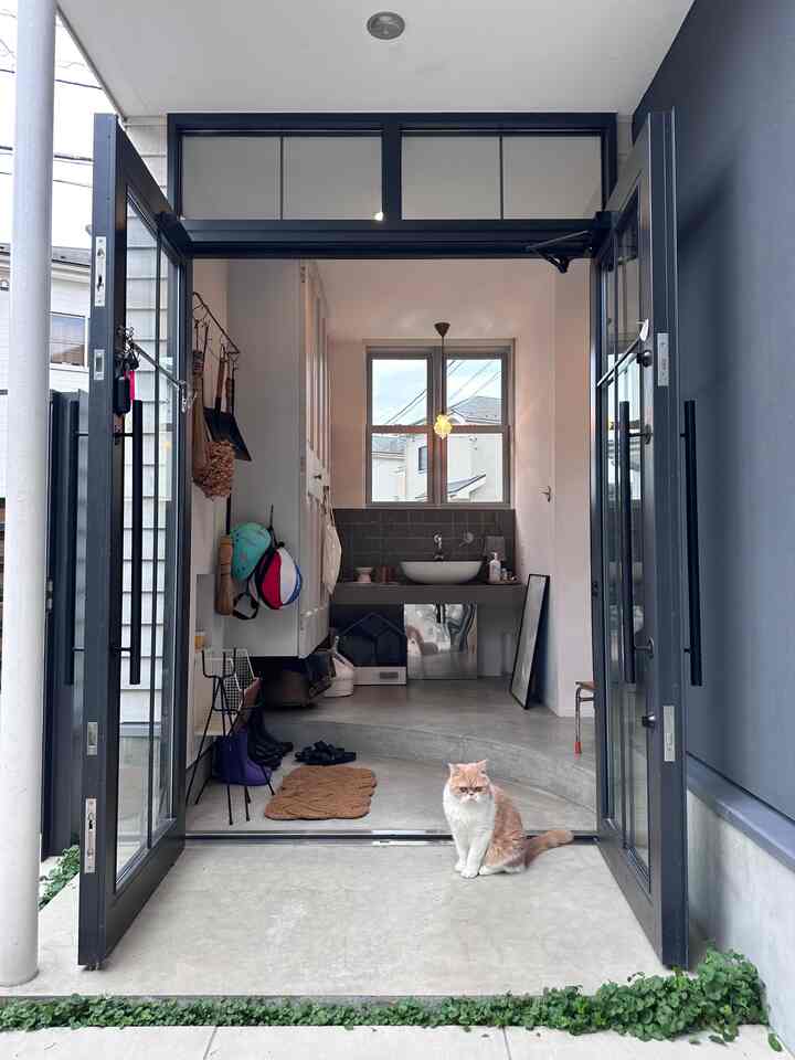 Natural toned entrance with black frame doors and a cat sitting, creating a calm atmosphere