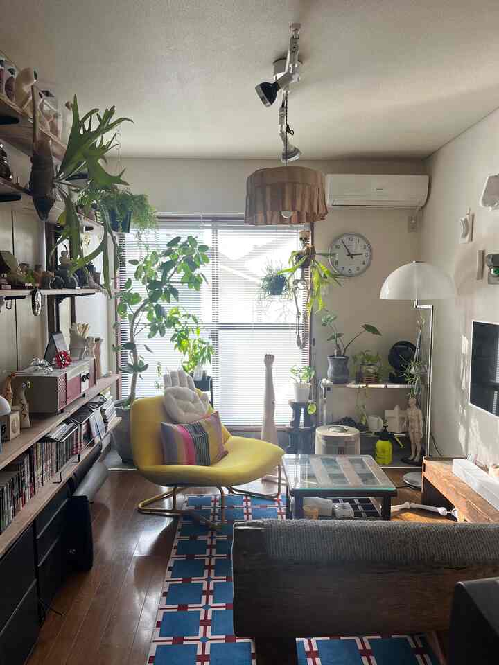 黄色のアームチェアと豊かな植物が配置されたナチュラルな雰囲気の2DKリビング