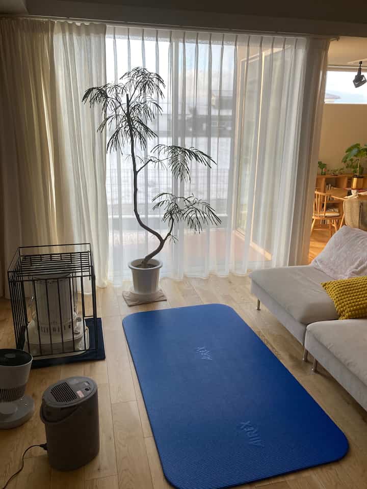 雪が降った朝⛄️

先日の雪景色❄️

めったに降らない地域なので
写真を撮りたくなる。

朝からちょこっとストレッチする🧘‍♀️

#リビング #リビングインテリア #ソファ #イケアソファ　#ソーデルハムン　 #ストーブ #ストーブガード　#石油ストーブ　#加湿器 #サーキュレータ 