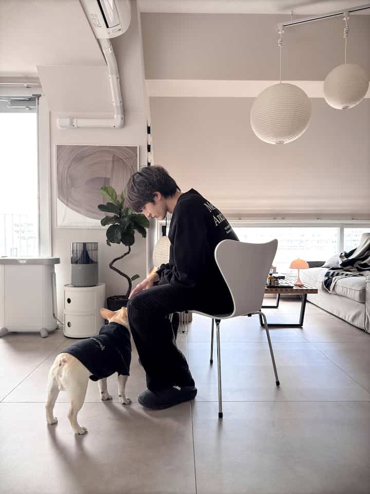 犬との暮らし🐖

#北欧インテリア 
#ミッドセンチュリー 
#ミッドセンチュリーモダン 
#ジャパンディ
#デザイナーズ
#vitra
#isamunoguchi
#akari
#FRITZHANSEN 
#7chair #セブンチェア
#montana
#stoffnagel 
#eames
#kartell
#コンポニビリ
#cado
#加湿器
#delonghi
#ヒーター
#ronanbouroullec
#japan
#frenchbulldog
#フレンチブルドッグ