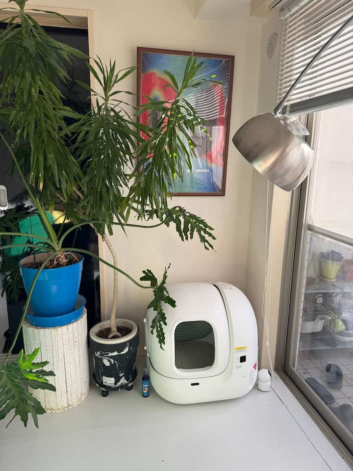 猫トイレ大活躍中🐈‍⬛🐈‍⬛

あと、植木鉢を青に塗りました🟦
なかなか良いかも

#自動猫トイレ　#ミッドセンチュリー #床タイル #床DIY 