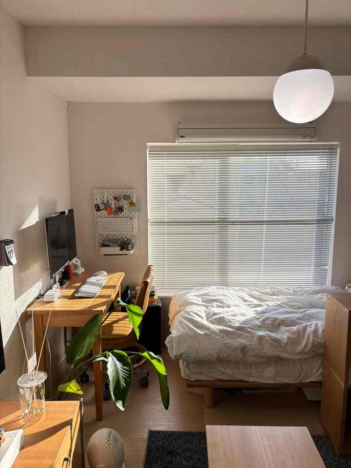 暖かいナチュラルカラーの6畳1Kスタジオ寝室、デスクとベッド、大きな植物が配置された居心地の良いホームオフィス空間
