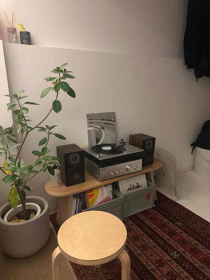 Light wood tone stool and turntable in a small single household room featuring brown rug and green plant with cozy ambiance