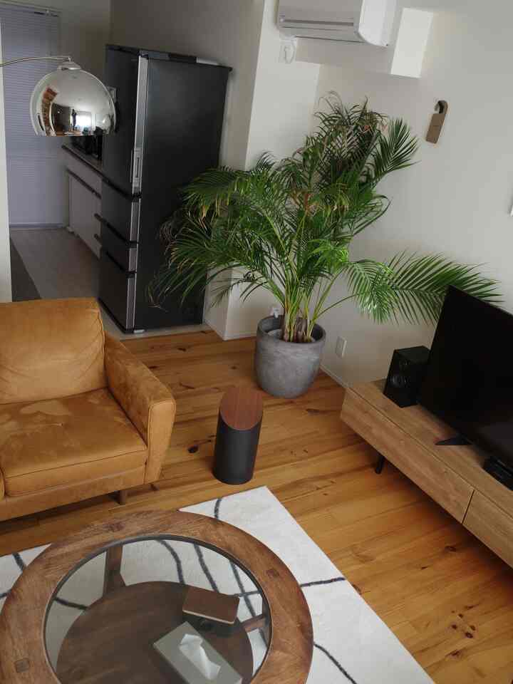 Natural wood-tone living room with brown sofa and large potted plant, featuring a clean and modern atmosphere