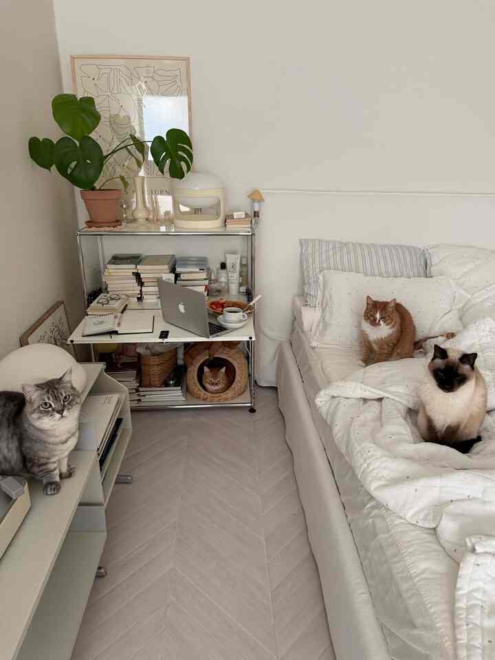 #寝室スタイリング 寝室スタイリング 寝具もベッドスタイリングも重要ですが、一日を終える空間なので、本を読んだり、音楽を聴いたりできるスタイリングが好きです。朝の雪の中でベッドでコーヒーを飲むのもとても良いですね⠉̮⃝︎︎低い照度が好きでビンテージ照明の多い私の家の寝室です猫も好きです  

#寝室 #内装 #マイルーム #セルフインテリア #寝室インテリア #myroom #interior #mybdrm #roomdecor #roominterior #多妙家庭 #booklover #vintage #ヴィンテージ照明 #catstagram布団＃コージー＃コージーホーム 