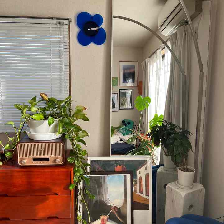 明るい自然光と緑の植物が配置された8畳のワンルーム、大型の鏡と温かみのある木目調家具が配置されたモダンで居心地の良い空間