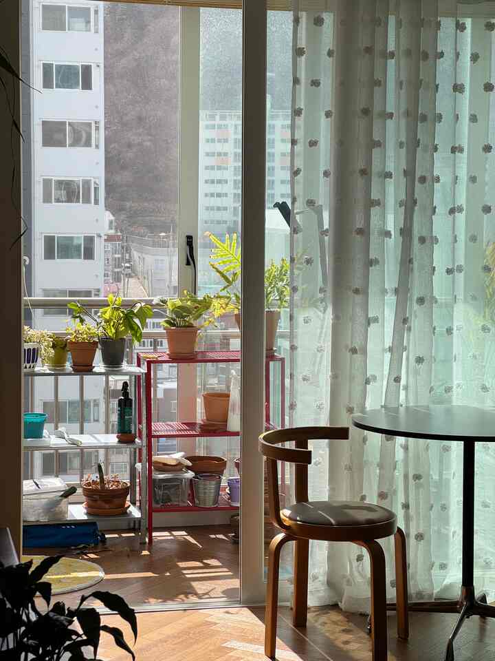 自然な色調と植物が配置された、バルコニーが見える明るく暖かいリビング空間