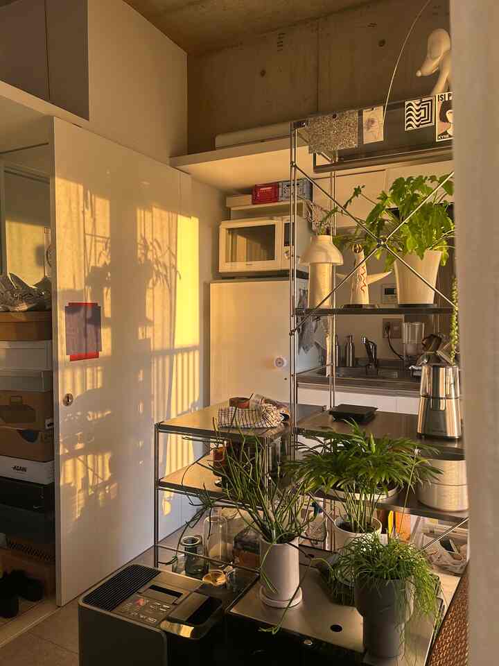 暖かな黄昏の光に包まれたワンルームのキッチンスペース、ステンレス棚と多彩な植物が配置された居心地の良いインダストリアルスタイルのインテリア