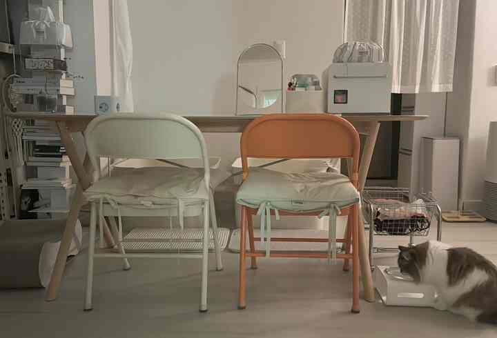 1世帯なのに6人用食卓を使う人？折ります。
イケアラタンチェアを使ってからニャンニがスクラッチャーで使う風に全部剥がれて、絶対に傷がつかない鉄製の椅子を買いました！
ポイント色を与えたかったので、一つはオレンジ色で購入しましたが、ちょっとしたリビングルームが明るくなりました🧡
鉄製だから硬くて不便ですが、長く座っていて大丈夫で軽くて運ぶのにも楽ですよ。
夏には冷たくてもいいけど、冬には冷たくてクッションは必ず敷かなければならないという🥹 
折りたたむこともあるので、この椅子はメインで書くよりもサイドチェアで書けばいいと思います👍🏻

＃お金の内装＃コーンスープ記録＃鉄の椅子＃ダイニングテーブルチェア＃イケアダイニングテーブル＃椅子おすすめ＃リビングインテリア＃リビング飾り＃テーブル＃テーブルおすすめ＃テーブル椅子 