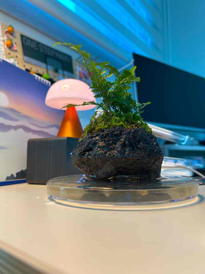 デスク＆ベッドルームに抽象的なスプーン🌿|火山石苔レビュー

オセフェのときに疲れました！欲望のカートに入れられていたまさにその植物です！本物は本当にかわいいです🥹

2つを買いましたが、1つは机に、もう1つは寝室に置きました。 

今回はカートを少し空にしました。
チャチャアイテムを記録してみます！

最近小さな部屋にあったキャビネットを寝室に移してみました。
期待していたよりも雰囲気が完全にふさわしくなりました！
狭く見えるか心配しましたが、むしろ広く見える不思議な効果がありますねㅎㅎ

（返事数日以内に全部走っていきます！

＃コンスープ記録＃今日の私たちの家＃デスクテリア＃コンピューターデスク＃デスク飾りシルスタイリング＃寝室照明＃寝室家具＃メイド 