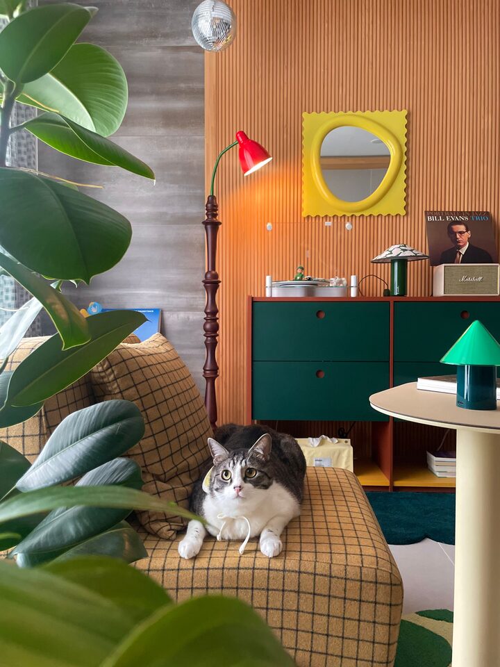 short form carousel card thumbnail