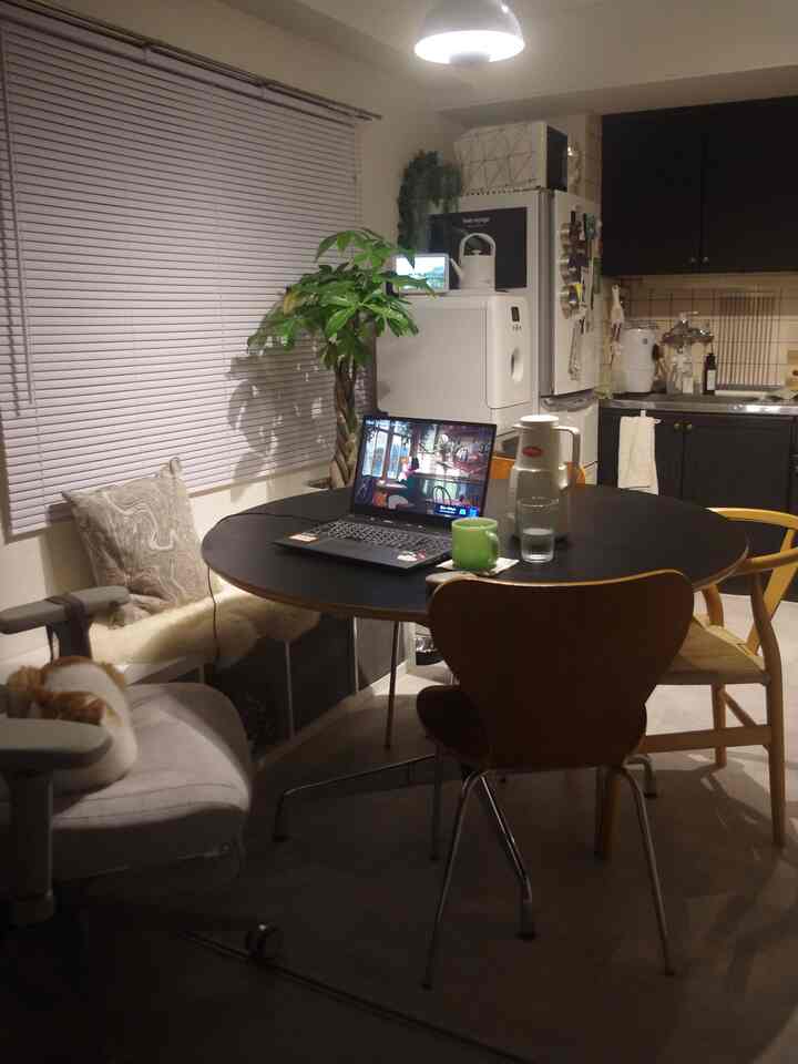 白い壁とブラインド、黒い丸テーブルと複数の椅子が置かれたコンパクトな一人暮らしのダイニングルームで、椅子の上に猫が眠っている